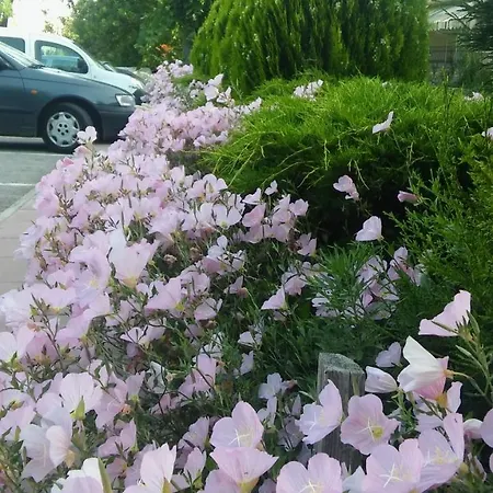 Nefeli Kozani